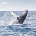 Holiday Road Trip South Africa | How to Plan Your Journey